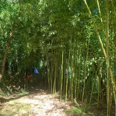 D'hotes La Tour De Bellevue Saumur