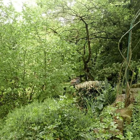 D'hôtes La Tour De Bellevue *