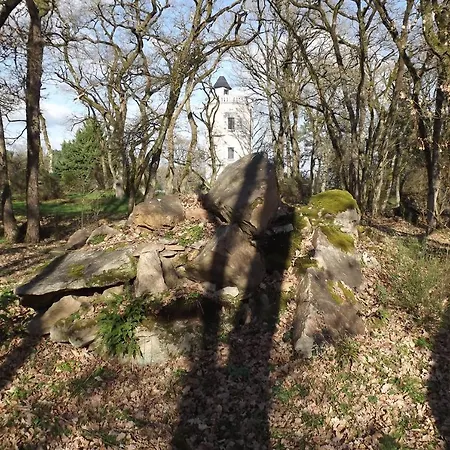 招待所 D'hotes La Tour De Bellevue 索米尔