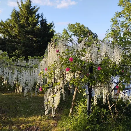 Casa de hóspedes D'hôtes La Tour De Bellevue *