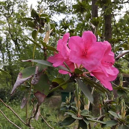 D'hotes La Tour De Bellevue *