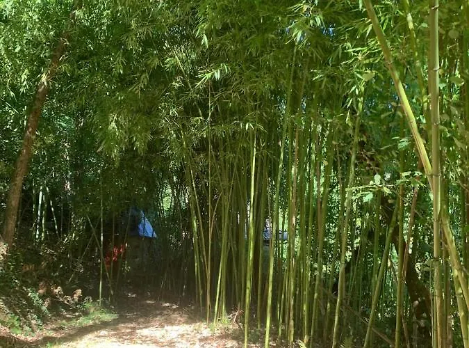 D'hotes La Tour De Bellevue Saumur