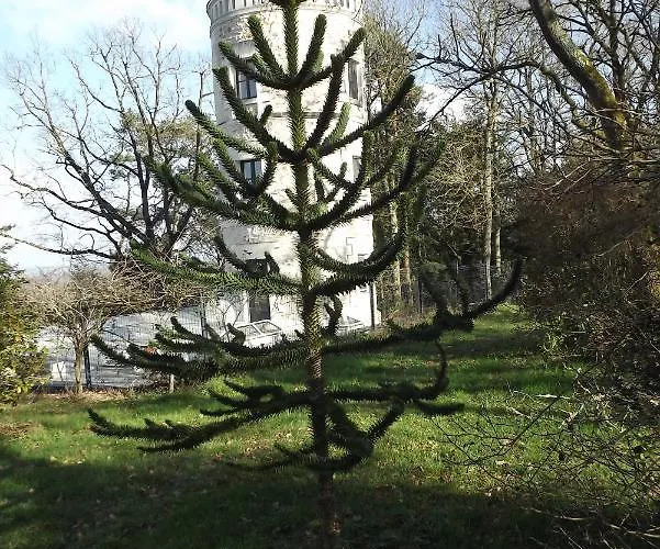 Vendégház D'hotes La Tour De Bellevue *