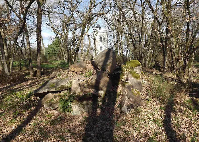 Pensión D'hotes La Tour De Bellevue Saumur