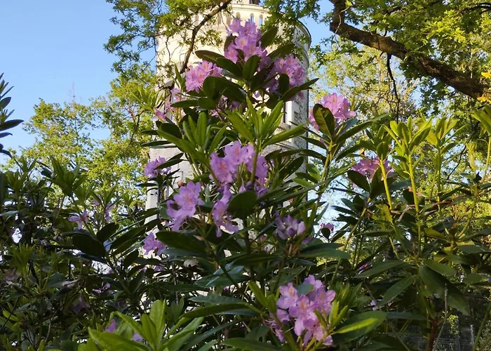 D'hotes La Tour De Bellevue Pensión