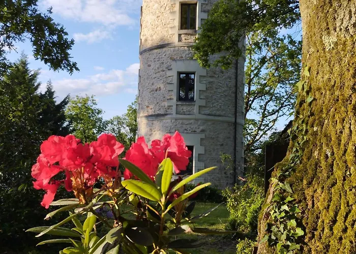 D'hotes La Tour De Bellevue Pensión Saumur