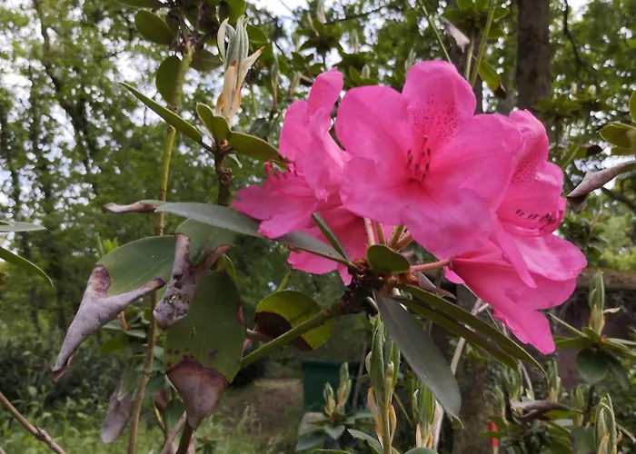 D'hotes La Tour De Bellevue *